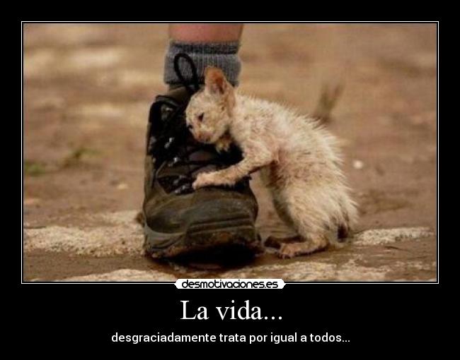 La vida... - 