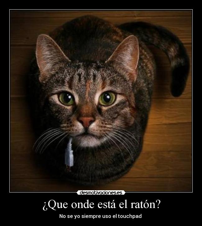 ¿Que onde está el ratón? -