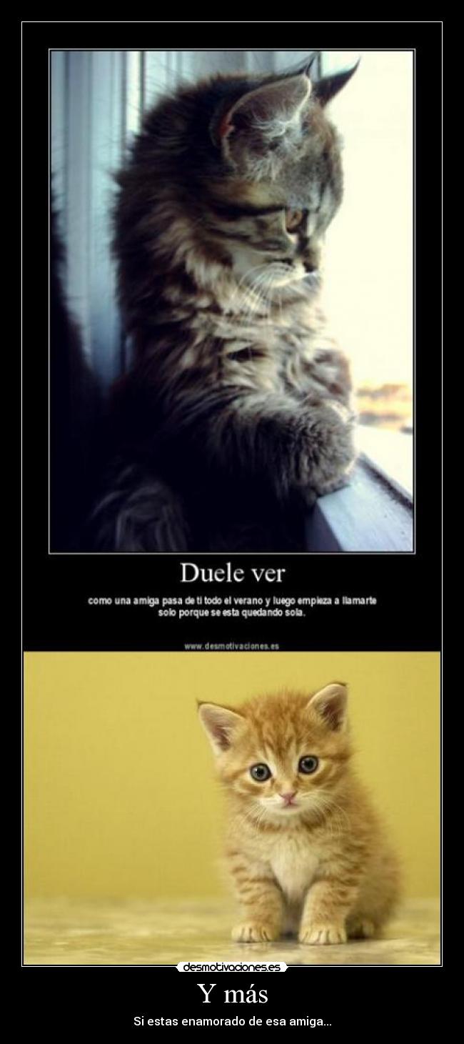 Y más - Si estas enamorado de esa amiga...