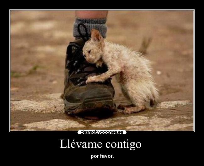 carteles raydu desmotivaciones