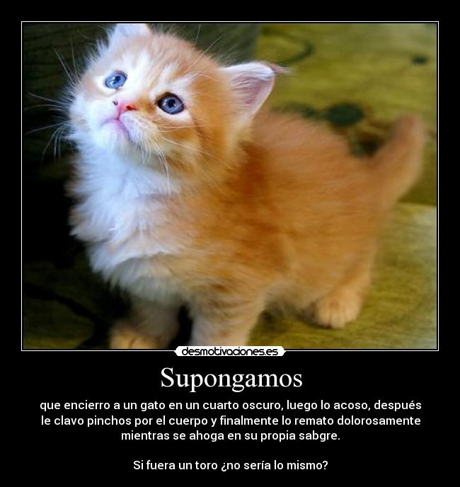 Supongamos - que encierro a un gato en un cuarto oscuro, luego lo acoso, después
le clavo pinchos por el cuerpo y finalmente lo remato dolorosamente
mientras se ahoga en su propia sabgre.

Si fuera un toro ¿no sería lo mismo?