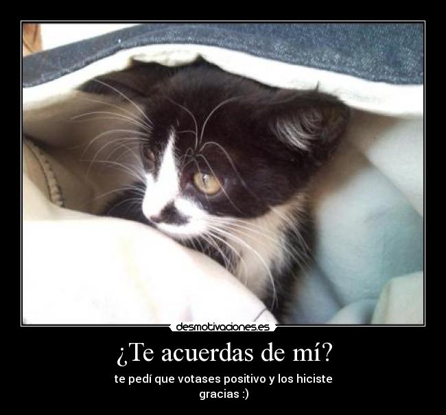 ¿Te acuerdas de mí? - 