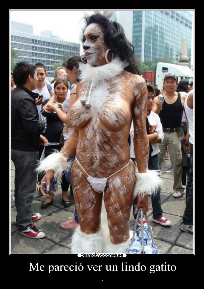 Me pareció ver un lindo gatito - .