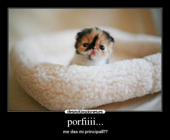 porfiiii... - me das mi principall??