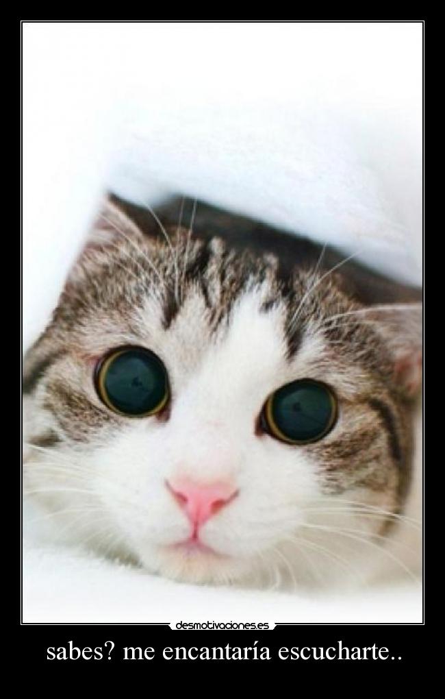 sabes? me encantaría escucharte.. -
