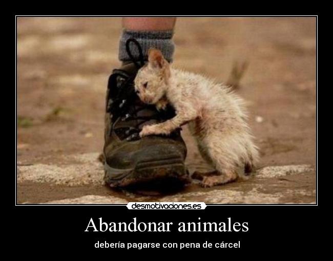 Abandonar animales - debería pagarse con pena de cárcel