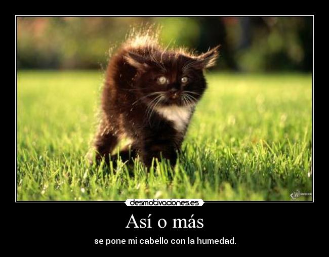 carteles omg desmotivaciones