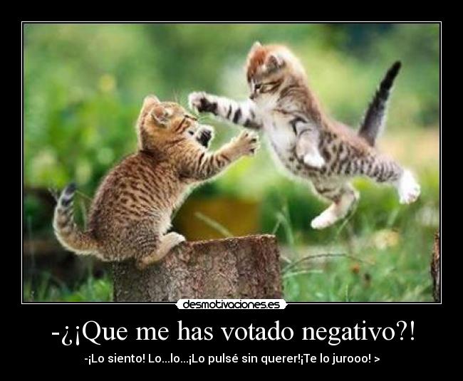 -¿¡Que me has votado negativo?! - 