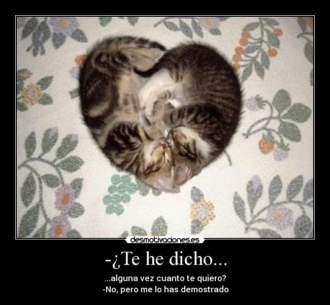 -¿Te he dicho... -