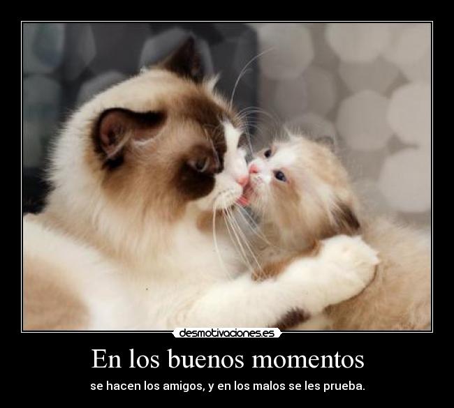 En los buenos momentos - se hacen los amigos, y en los malos se les prueba.