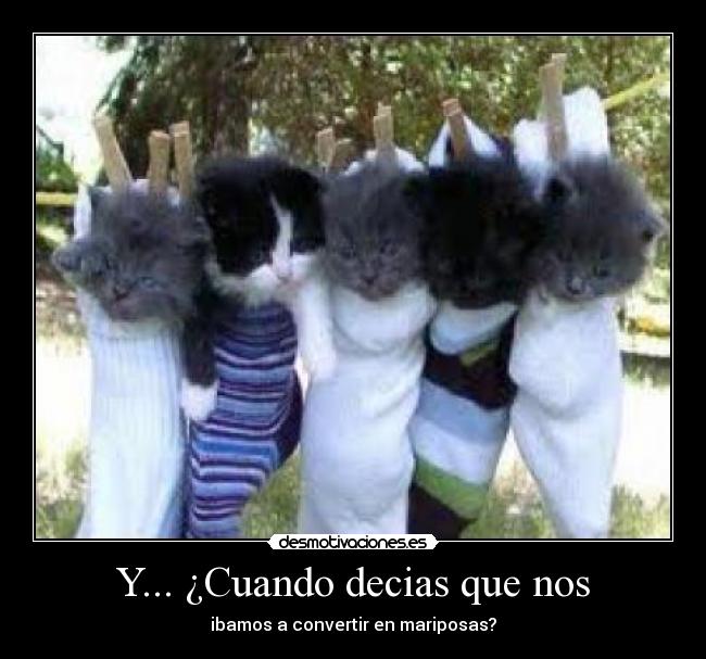 Y... ¿Cuando decias que nos -