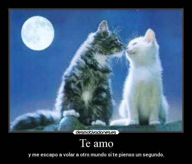 Te amo - y me escapo a volar a otro mundo si te pienso un segundo.