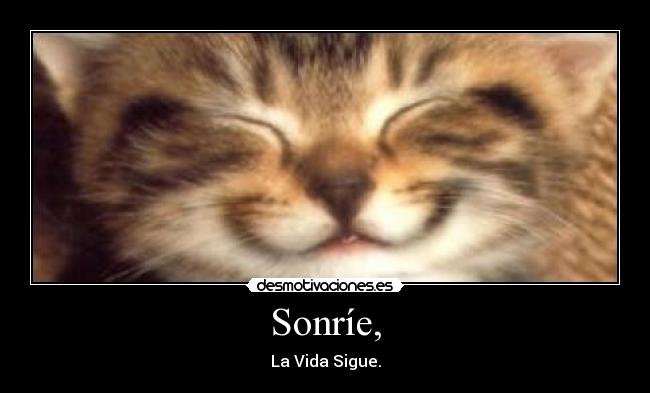 Sonríe, - La Vida Sigue.