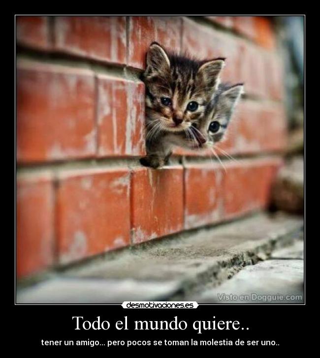 Todo el mundo quiere.. - tener un amigo... pero pocos se toman la molestia de ser uno..