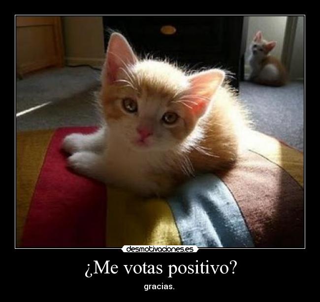 ¿Me votas positivo? -
