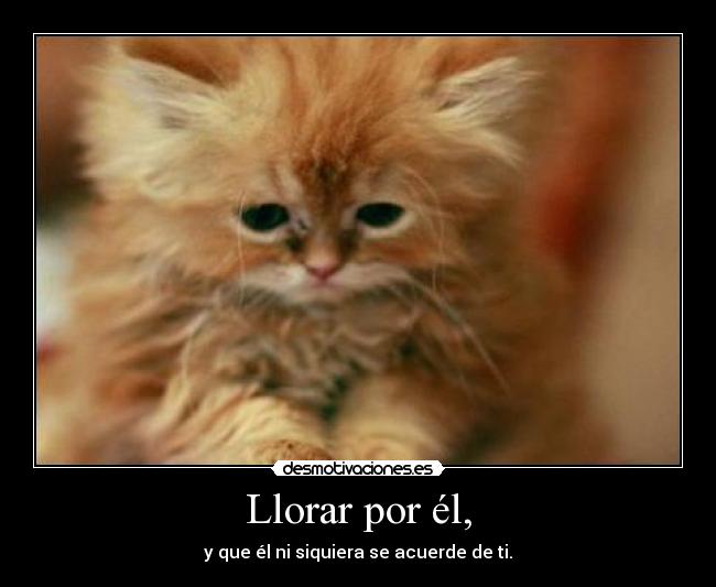 Llorar por él, - 