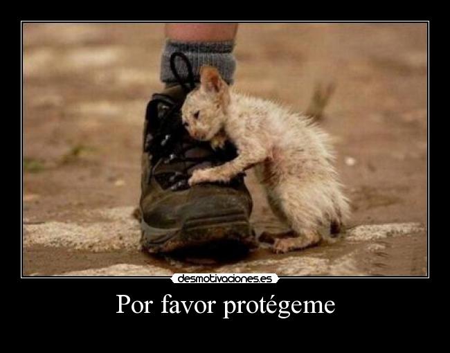 Por favor protégeme - 
