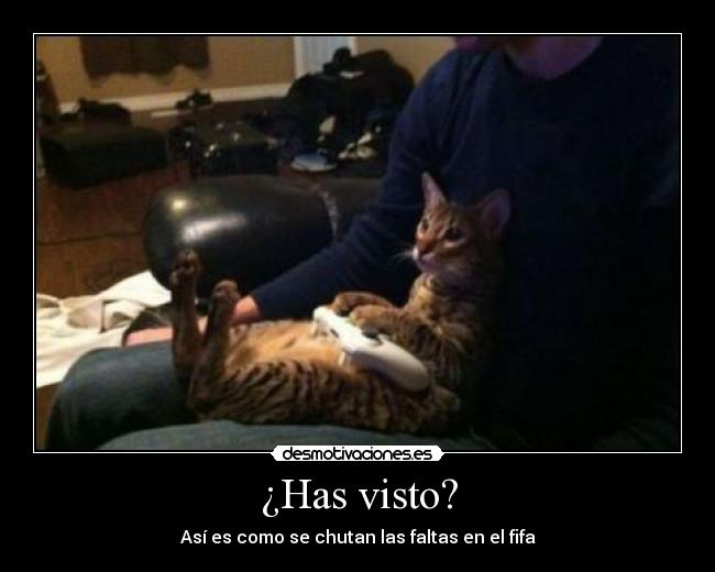 ¿Has visto? -
