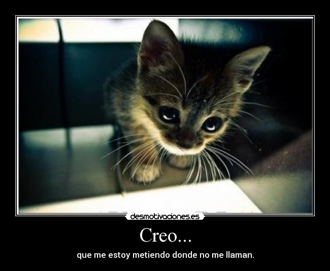 Creo... - 