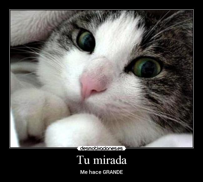 Tu mirada - Me hace GRANDE