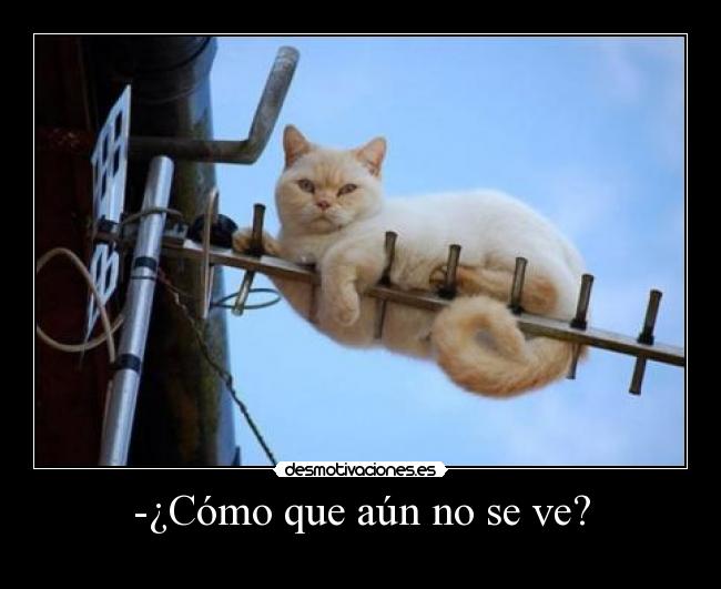 -¿Cómo que aún no se ve? - 