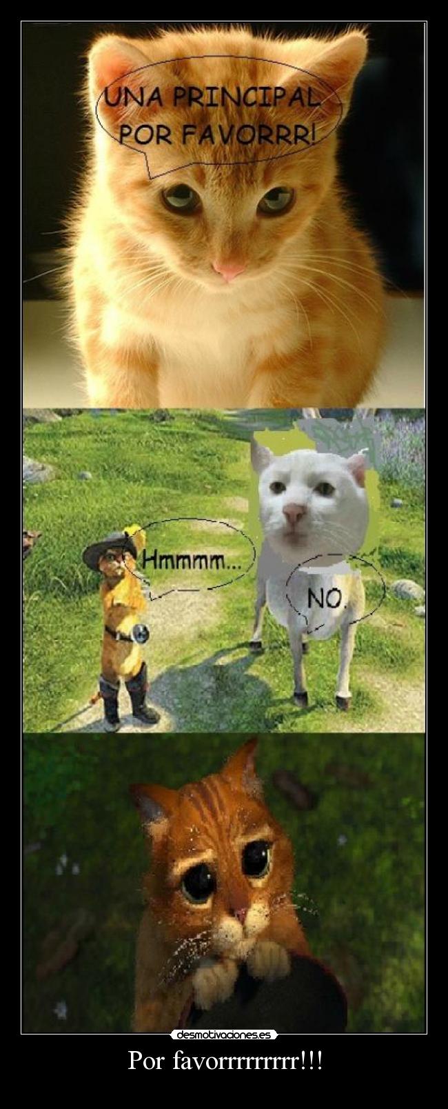 Por favorrrrrrrrr!!! - 