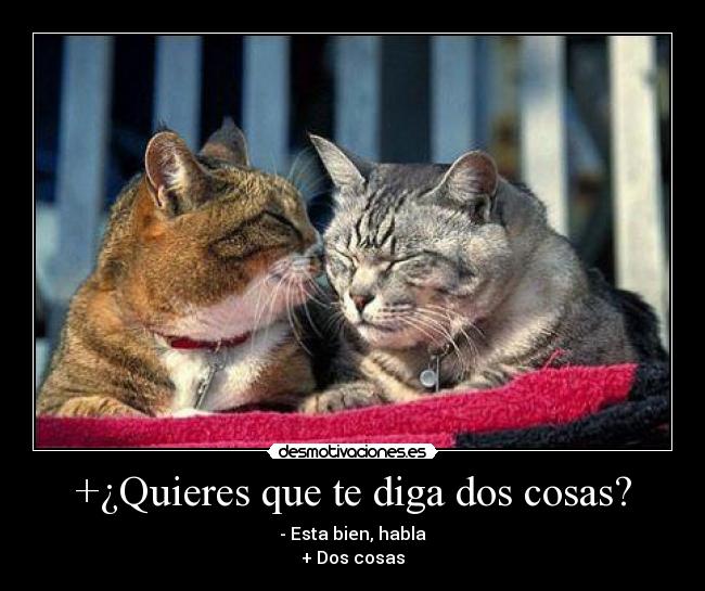 +¿Quieres que te diga dos cosas? - - Esta bien, habla
+ Dos cosas