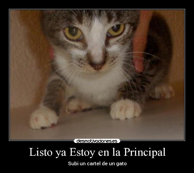 Listo ya Estoy en la Principal -