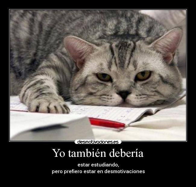 Yo también debería - 