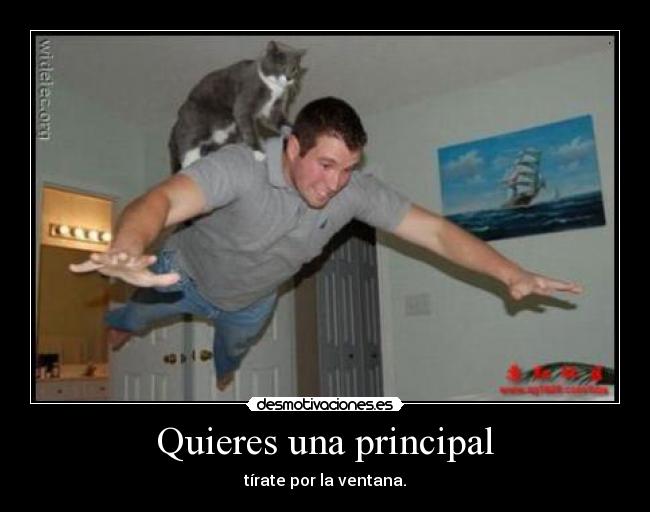 carteles walt_k volando desmotivaciones