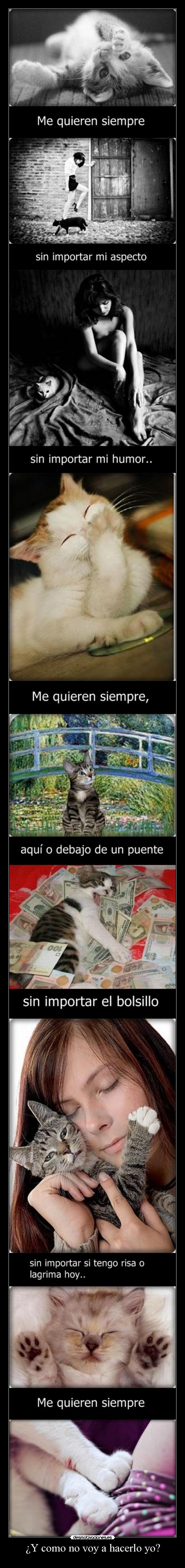 ¿Y como no voy a hacerlo yo? -