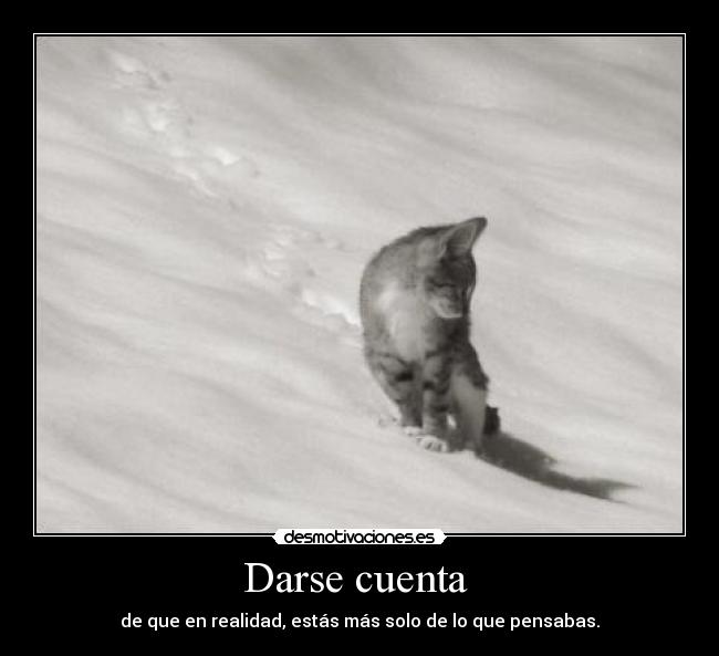 Darse cuenta - de que en realidad, estás más solo de lo que pensabas.