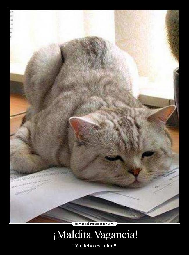¡Maldita Vagancia! -