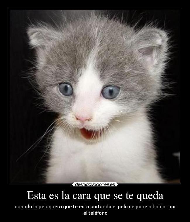 Esta es la cara que se te queda - 