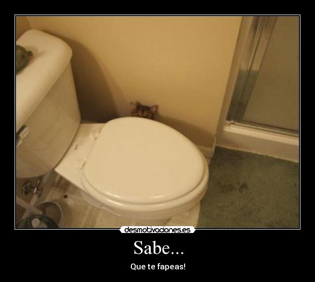 Sabe... - Que te fapeas!