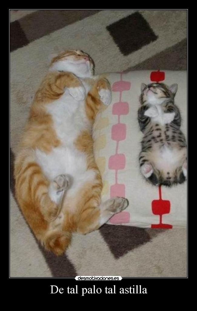 De tal palo tal astilla -
