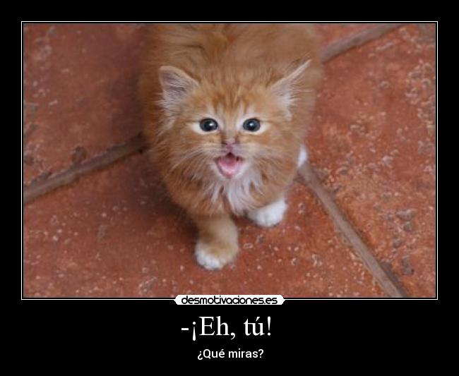 -¡Eh, tú! - ¿Qué miras?