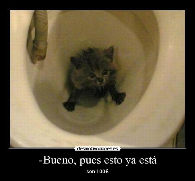 -Bueno, pues esto ya está - 