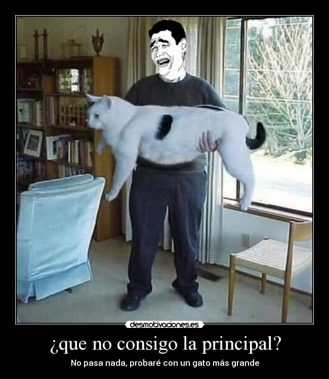 ¿que no consigo la principal? -