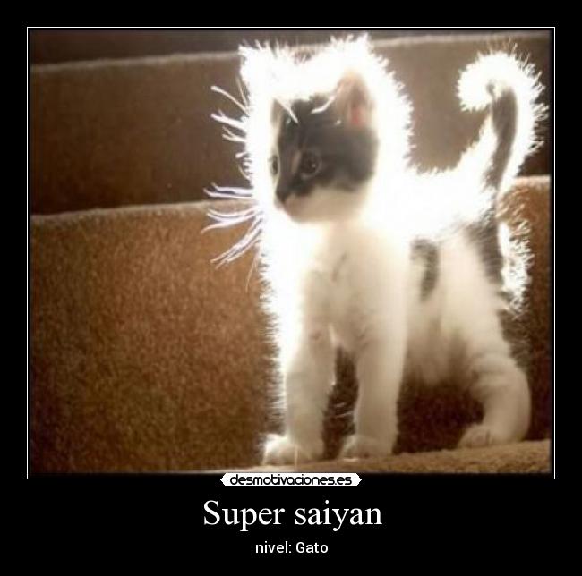 Super saiyan - nivel: Gato