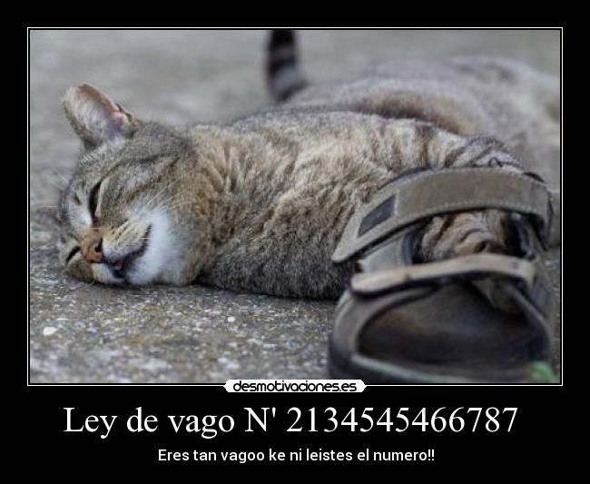 Ley de vago N 2134545466787 -