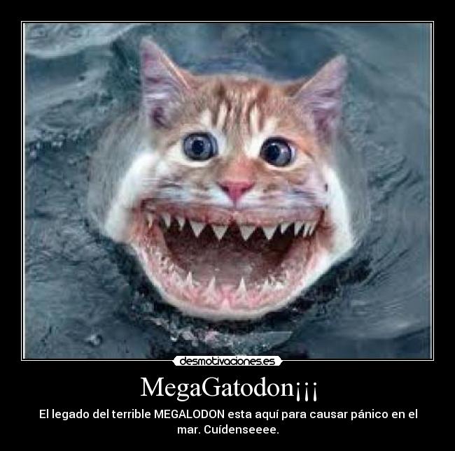 MegaGatodon¡¡¡ - El legado del terrible MEGALODON esta aquí para causar pánico en el
mar. Cuídenseeee.