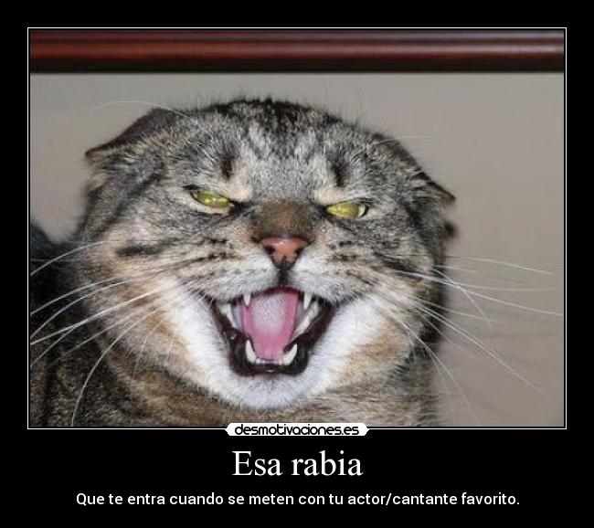 Esa rabia - 