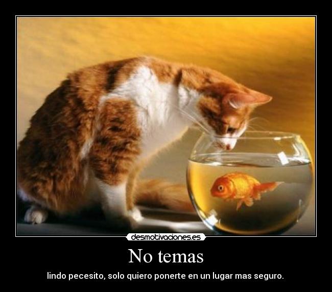 No temas - lindo pecesito, solo quiero ponerte en un lugar mas seguro. 