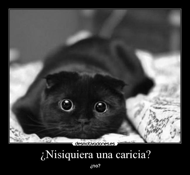 ¿Nisiquiera una caricia? - 