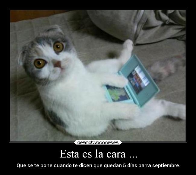 Esta es la cara ... - Que se te pone cuando te dicen que quedan 5 días parra septiembre.
