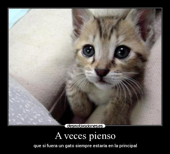 A veces pienso - 
