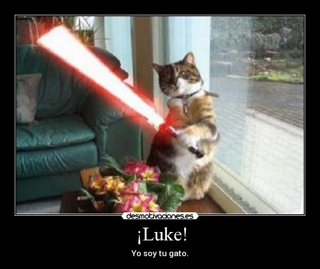 carteles luke desmotivaciones