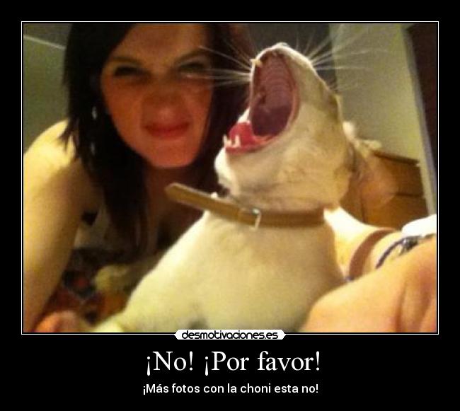 ¡No! ¡Por favor! - ¡Más fotos con la choni esta no!