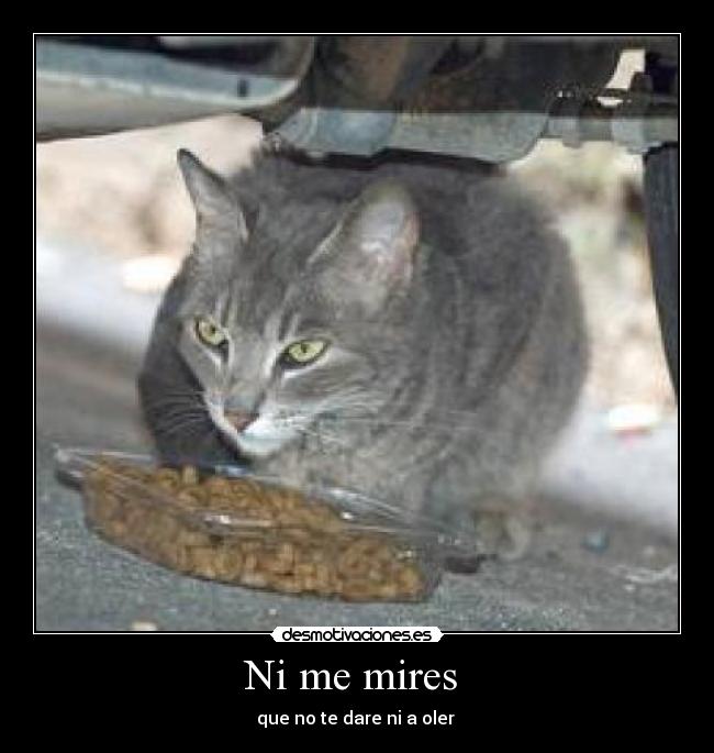 Ni me mires - que no te dare ni a oler